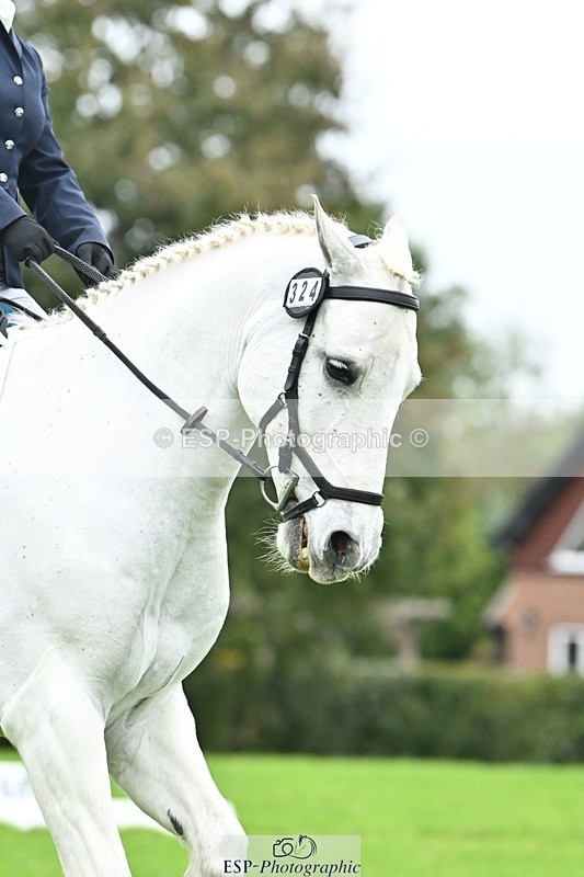 241024-121504-02678 - 324-Helena.Pope-ROSSALOUGHA.TED