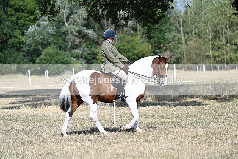 WJ7_2772 - Class 8 Ridden Tack & Turnout