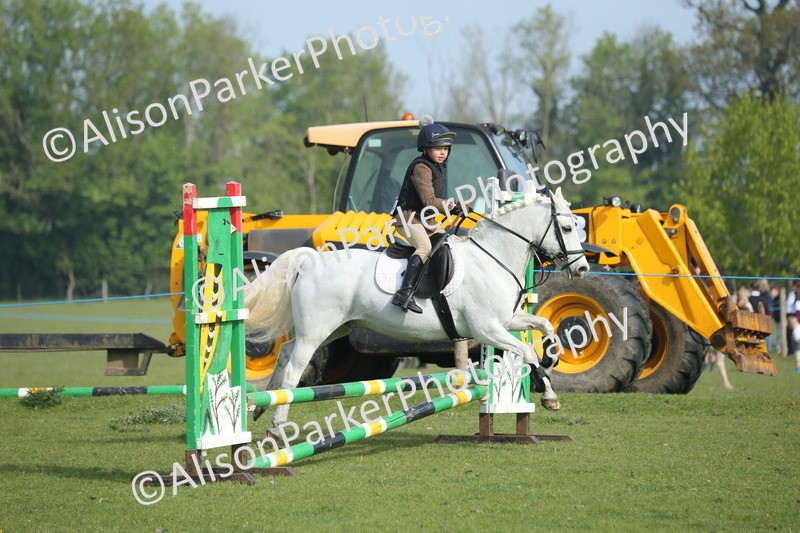 20260426-0128 - Class 13 - Rookie Jumping 50cm