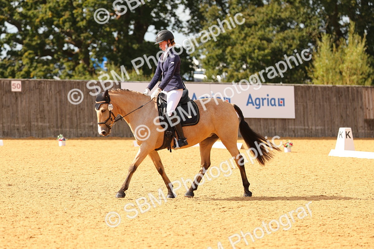 SBM_48316 - D22 - Junior Championship - Intro B