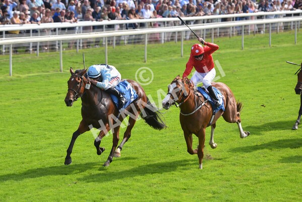 yr05092021r1-41 - Race 1 2.10pm IRE-Incentive It Pays To Buy Irish ebfstallions.com Novice Stakes