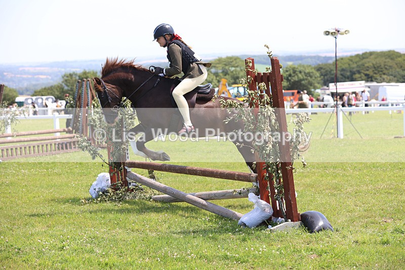 JPP_2418 - Class 21: Working Hunter 60cm