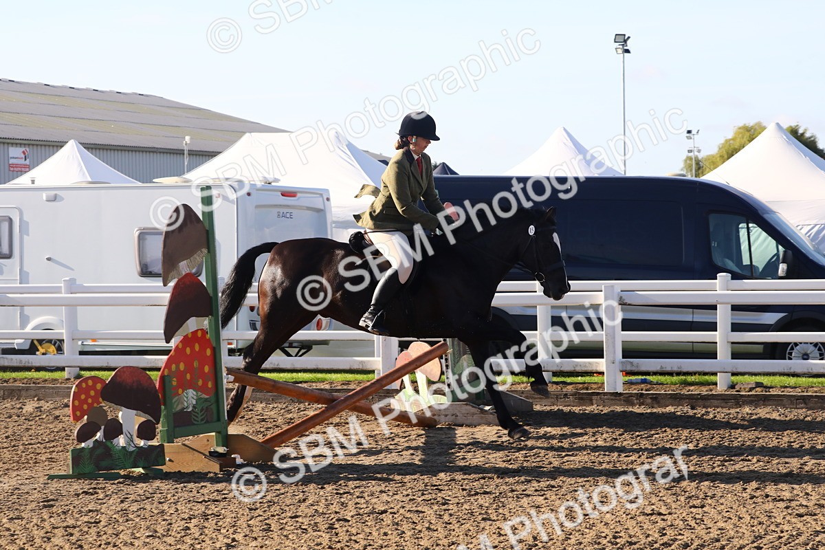 SBM_07906 - Class 501 - Riding Club Pony