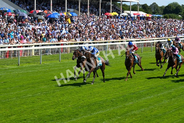 120725-Race 3-Fox Legacy-5676 - Race 3 3.10pm John Smith's Cup Handicap