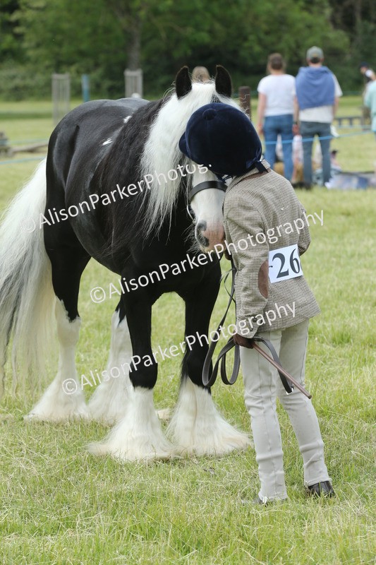 20260614-4302 - Class 18 - Best Junior Handler