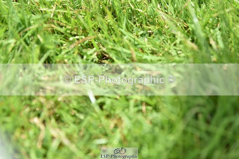 240605-133300-00461 - Cls 5 Elementary 43