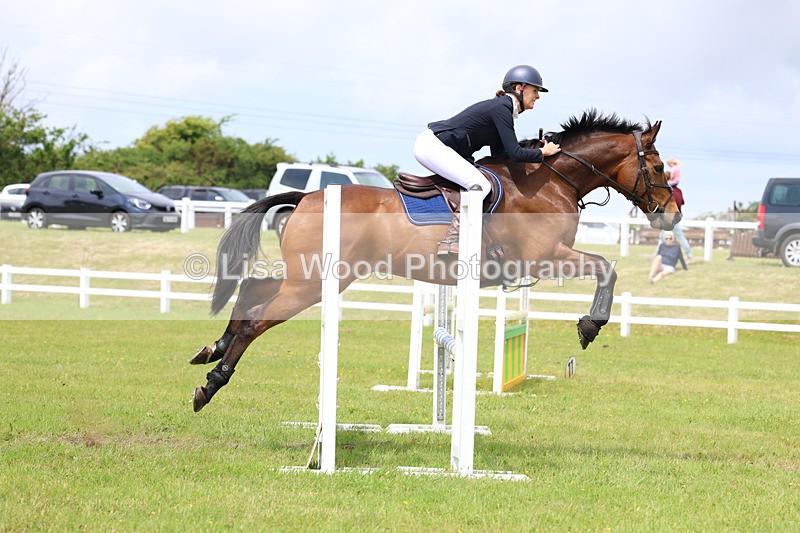 3E7A7274 - Class 13: Senior British Novice/90cm open