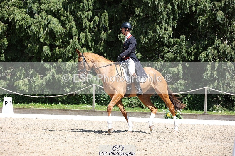 230526-140048-06436 - 370-DUKE_LEGACY-William_Fox-Pitt-WEDTrotUp+DR