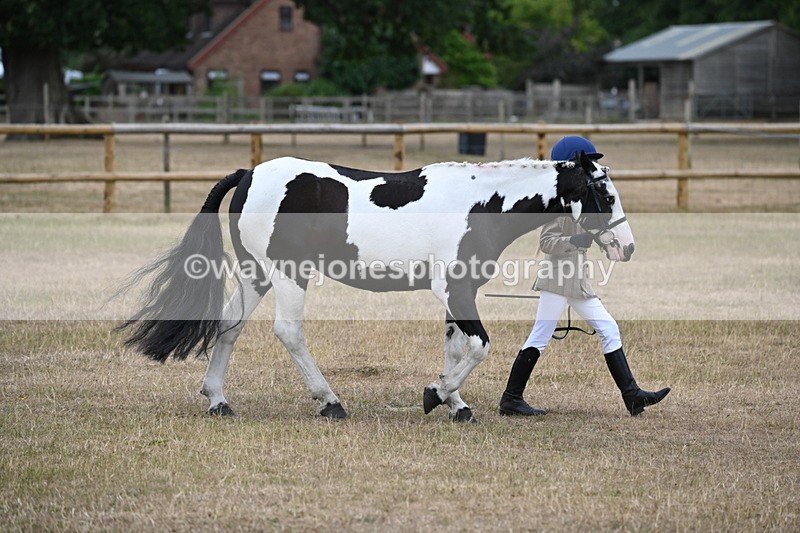 WJ6_7878 - Class 10 Coloured in Hand