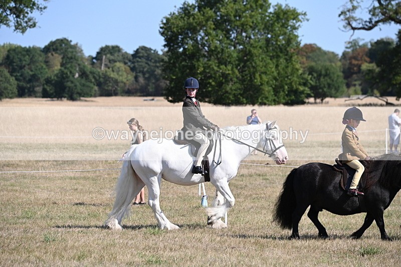 WJ6_7397 - Class 34 Judges Choice