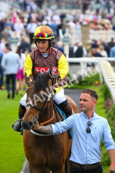 170623-Race 1-Furzig-0166 - Race 1 2.00pm Queen Mother's Cup Handicap