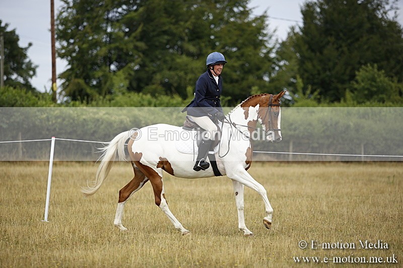 _C7A9488 - BVRC Show 2018 Ring 1