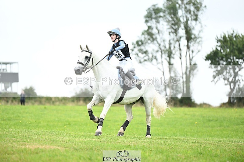 240831A-141842-03685 - 256-Tiarna.Falco-AUGHNAKEERAGH.DANNY