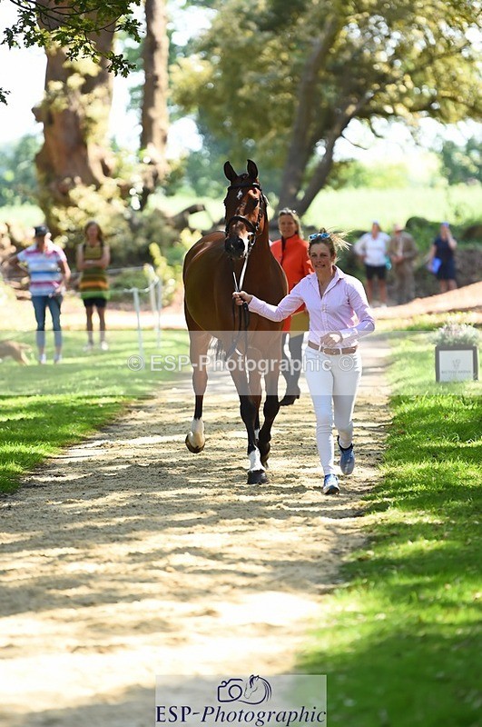 230524-150552-00060 - 381-CAROLINES_AIR_KM-Izzy_Taylor-WEDTrotUp+DR