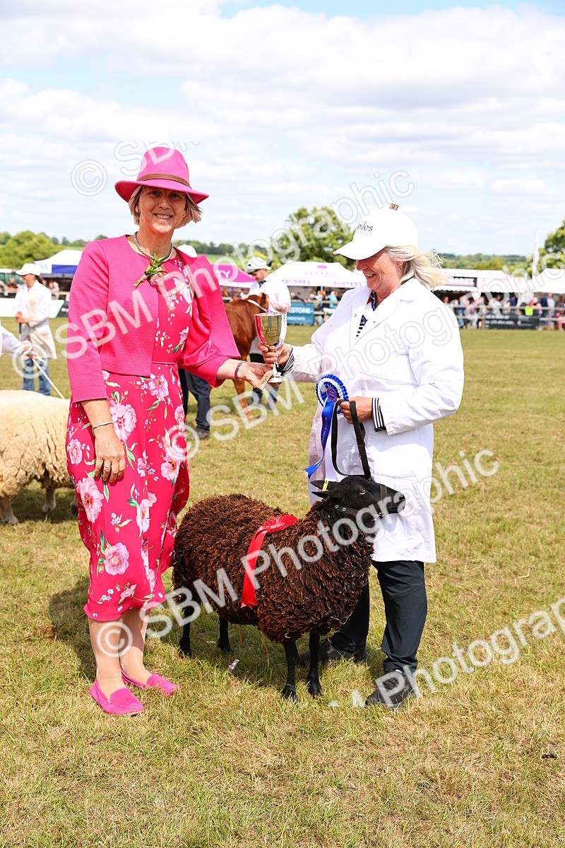 SBM_17015 - Grand Parade