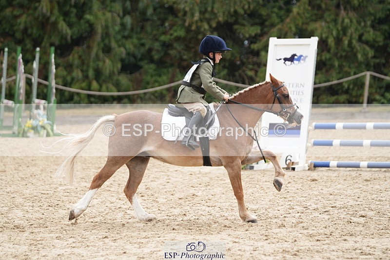 250824A-114444-35669 - 2028-Harry.Honeyball-Sardis.Cassius