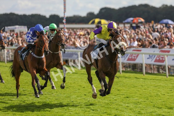 290723-Race 6-Dark Moon Rising-4035 - Race 6 5.10pm Betting Better With Sky Bet Handicap