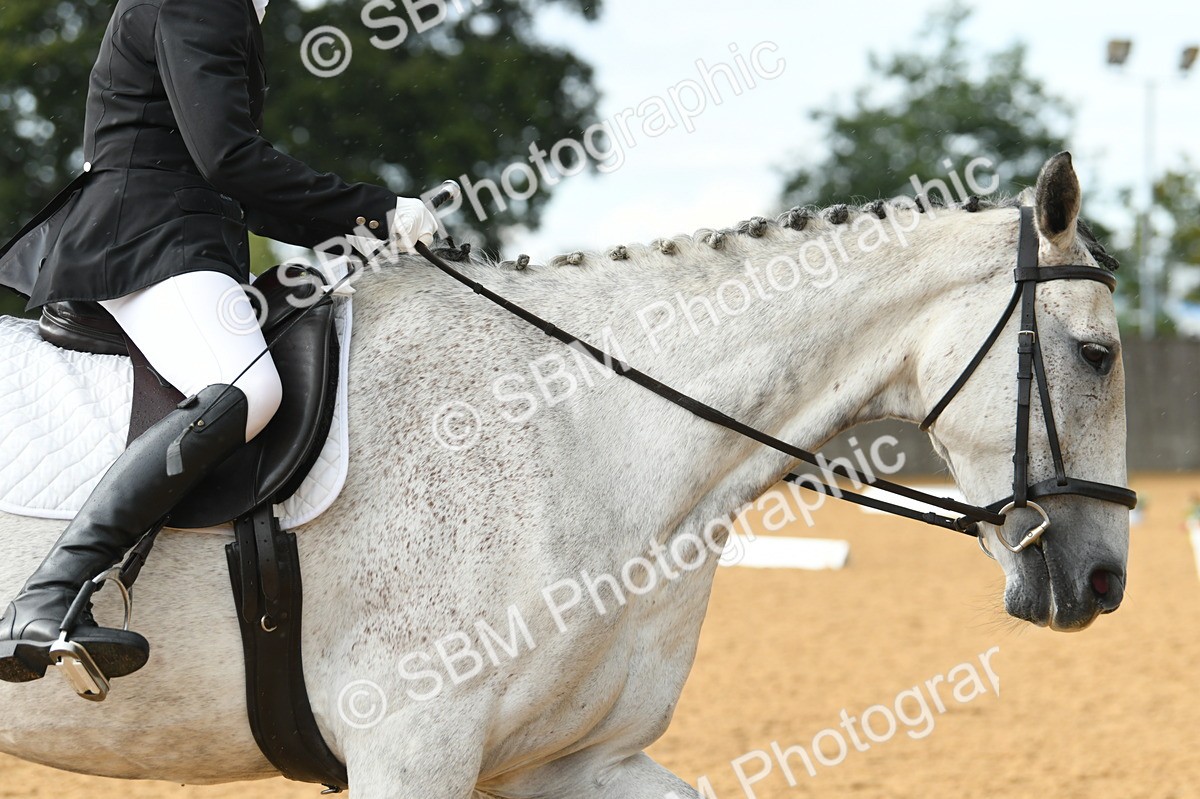 SBM_11179 - D28 Elementary Taster Elementary 42