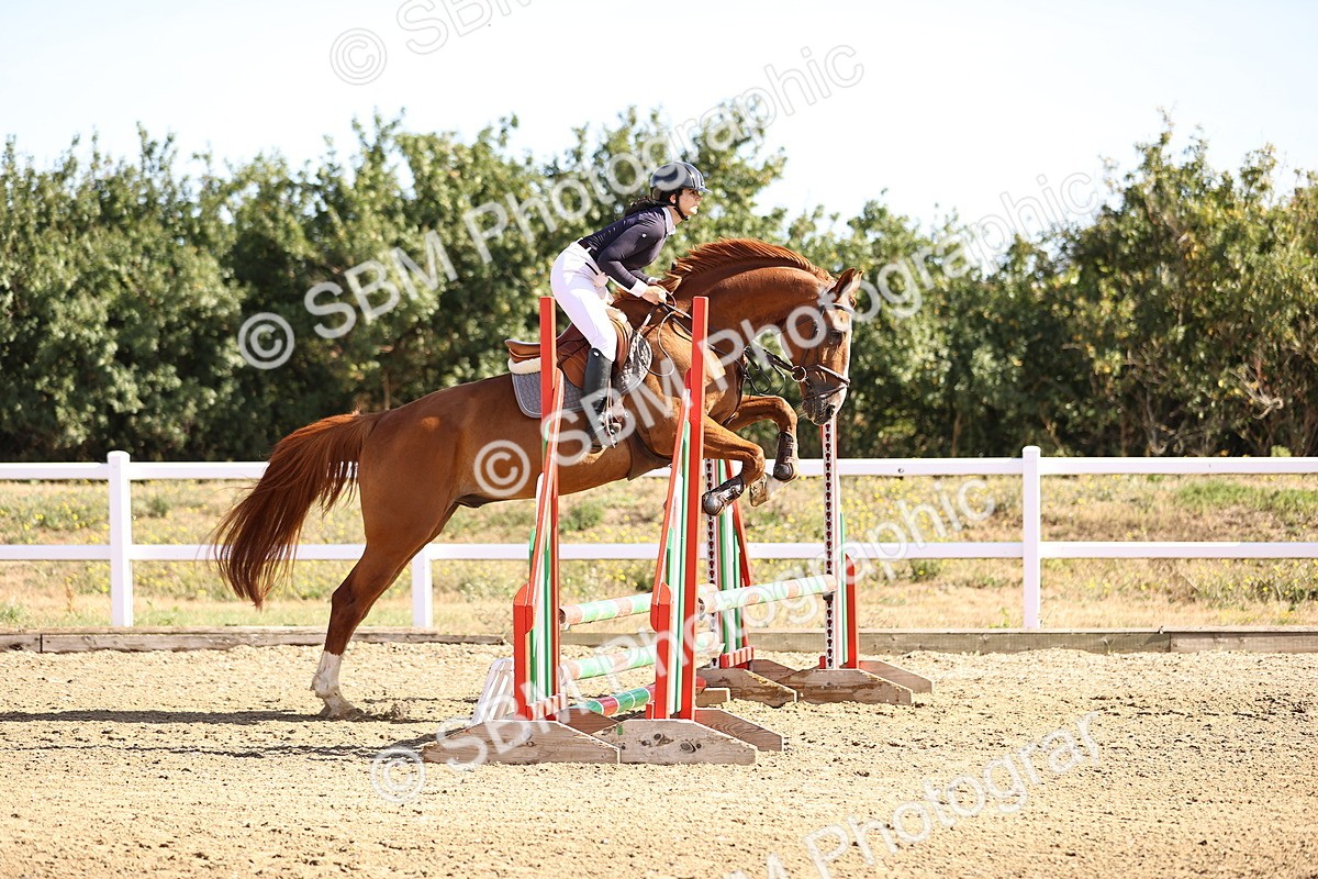SBM_000003 - Class 1 - Clear Round