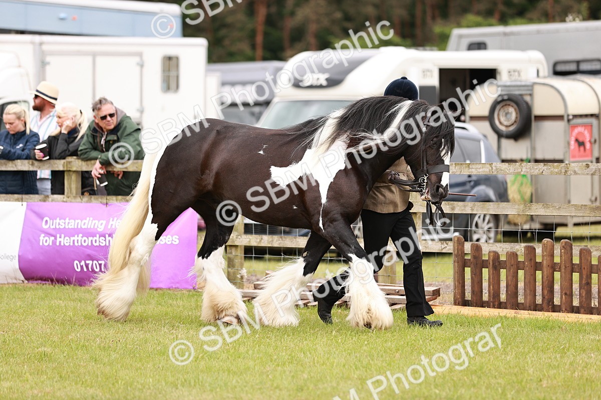 SBM_04644 - Class 5-8 - BSPA In hand