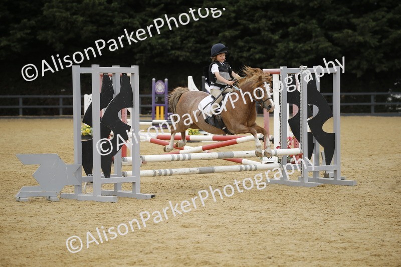 20250622-6139 - 60cm