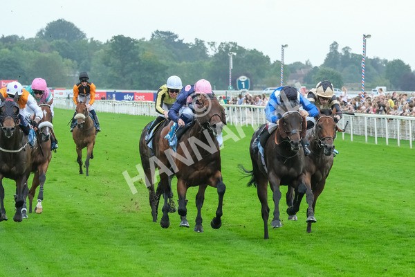 080925-Race 5-Elmonjed-9430 - Race 5 4.30pm Sky Bet Starman Garrowby Stakes