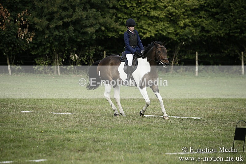 BVR090918 116 - BVRC Dressage and Show Jumping 09/09/18