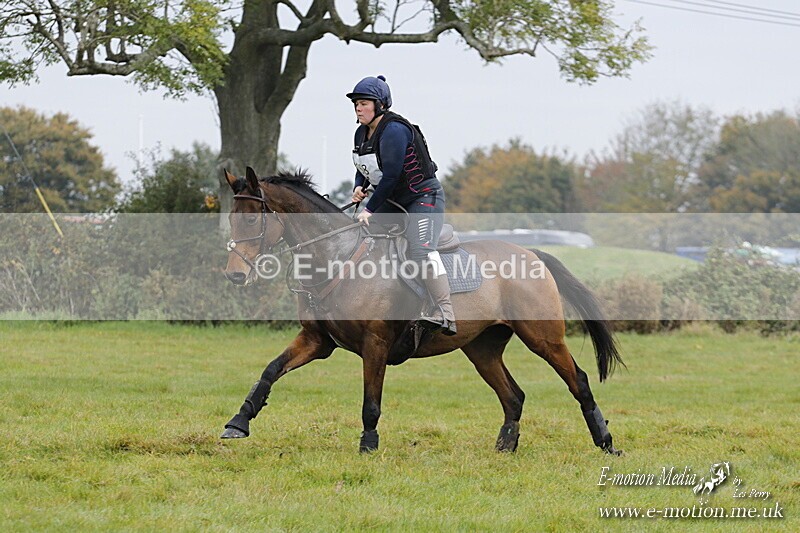 WWHT 181020 WWHT 181020 578 - WWEC Open Novice (0.80m) 18/10/20