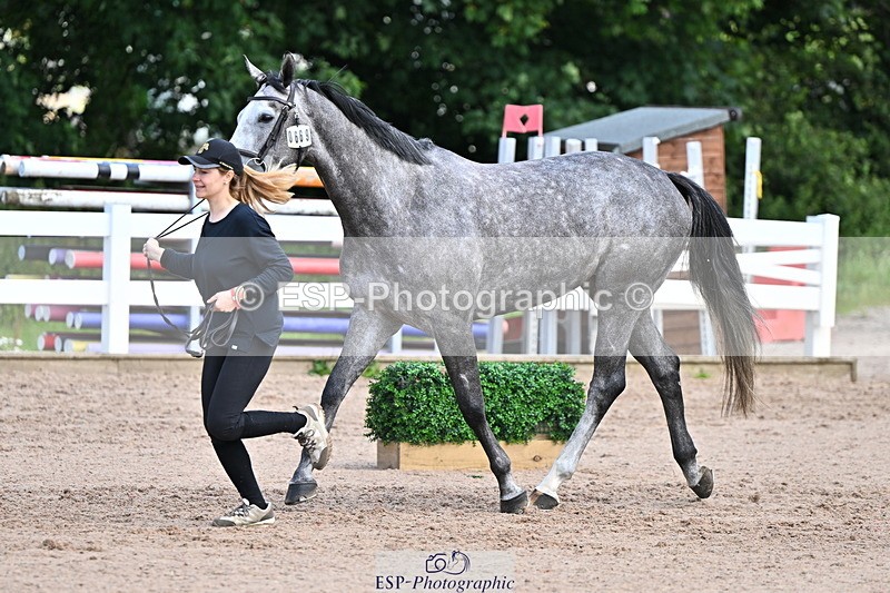 240718A-105252-01272 - Trot Up 12pm to 1pm
