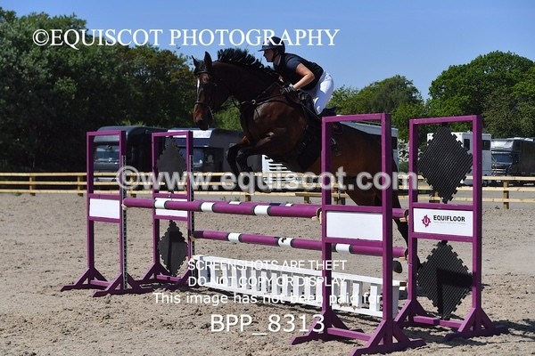 BPP_8313 - CLASS 6 Senior Newcomers/ 1.10m Open