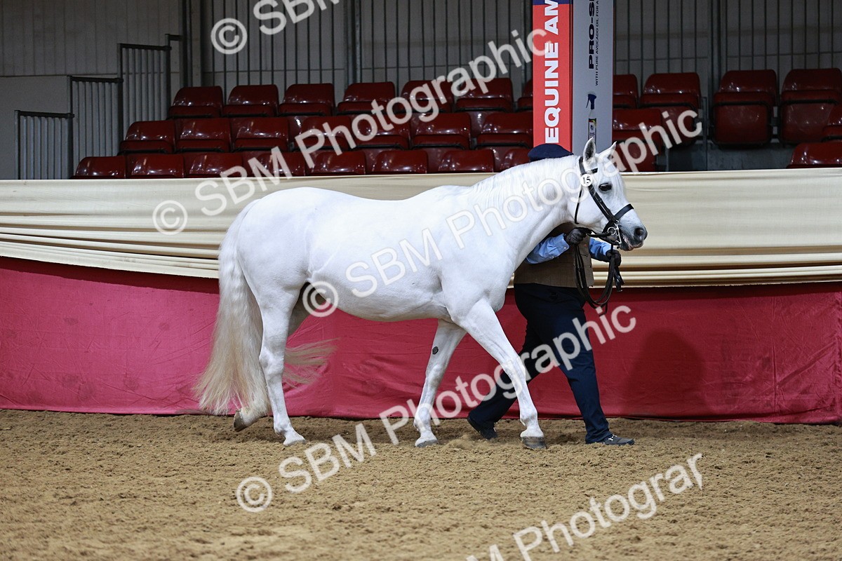 SBM_01118 - Class 3A - Area IH Pre-Vet
