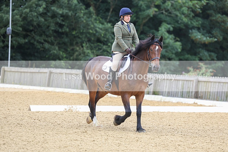 3E7A4563 - Class 1: Intro 4 2024 section A