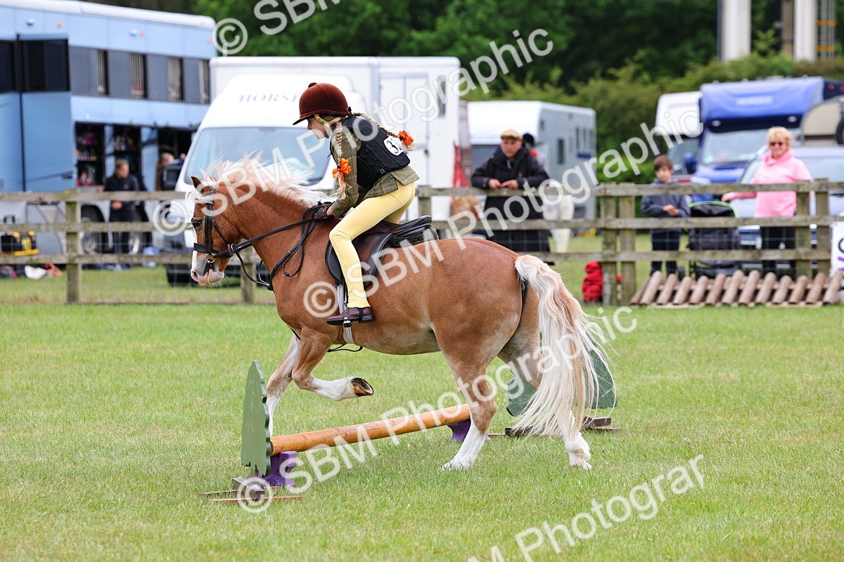 SBM_08739 - Class 42-43 - LIHS BSPS Heritage Working Sports Pony