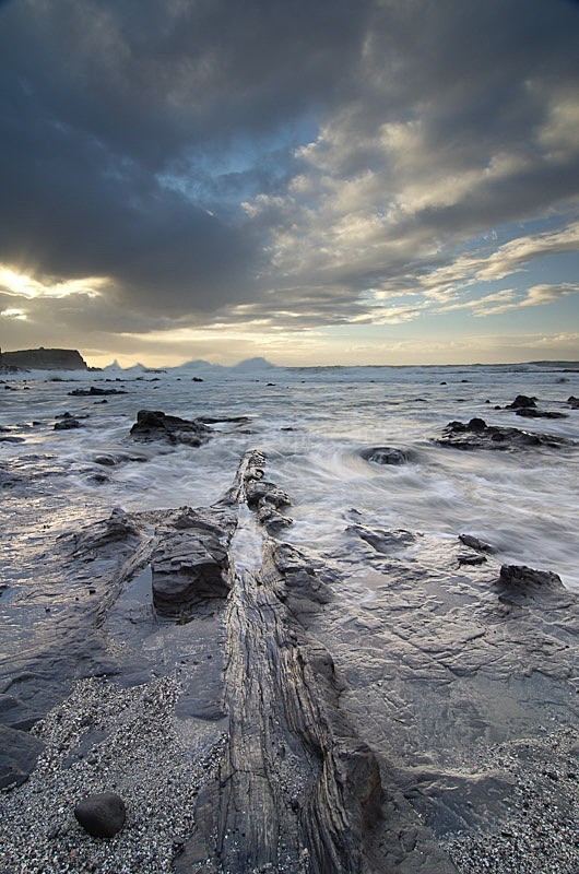 Curio Bay petrified stumps - New Zealand South Island