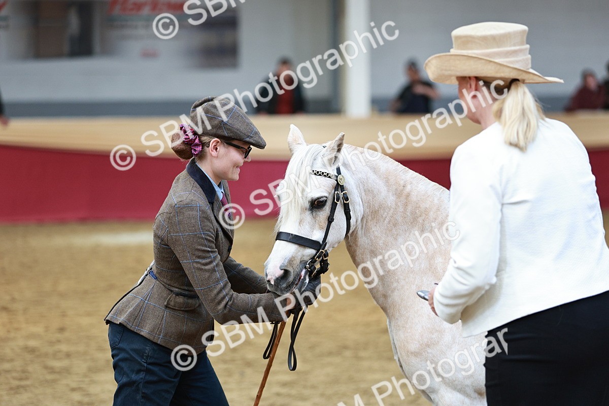 SBM_04779 - Class 7R - Regional IH Diamond