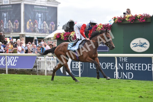 yr19082022r5-33 - Race 5 4.10pm Assured Data Protection EBF Fillies' Stakes