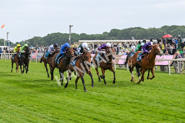 150525-First Legion-5152 - Race 6 4.55pm Frank Whittle Partnership ebfstallions.com Novice Stakes