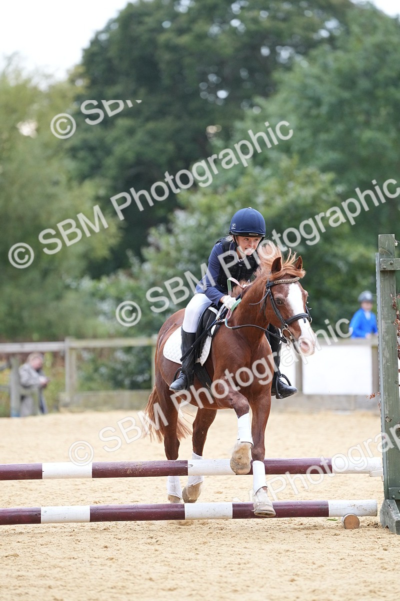 SBM_74578 - J4 - Mini Tour Junior Pony 45cm Championship