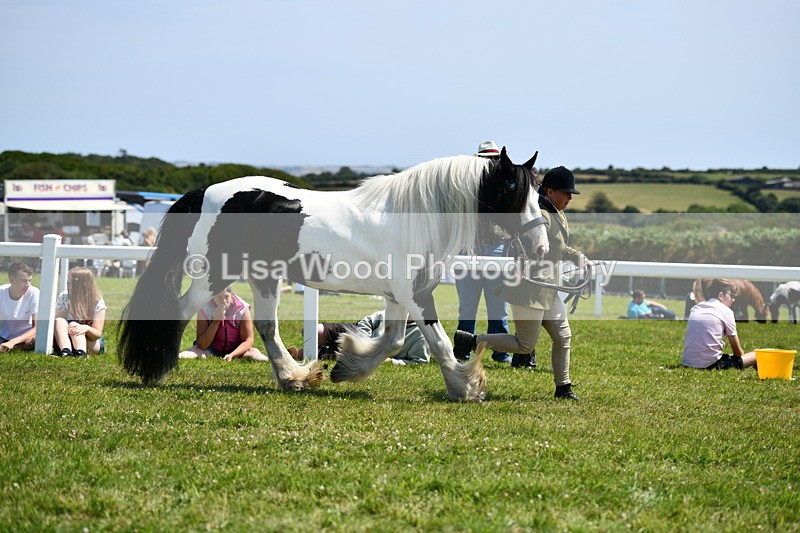 DSC_7628 - Class 64: Coloured Pony 4yrs & over
