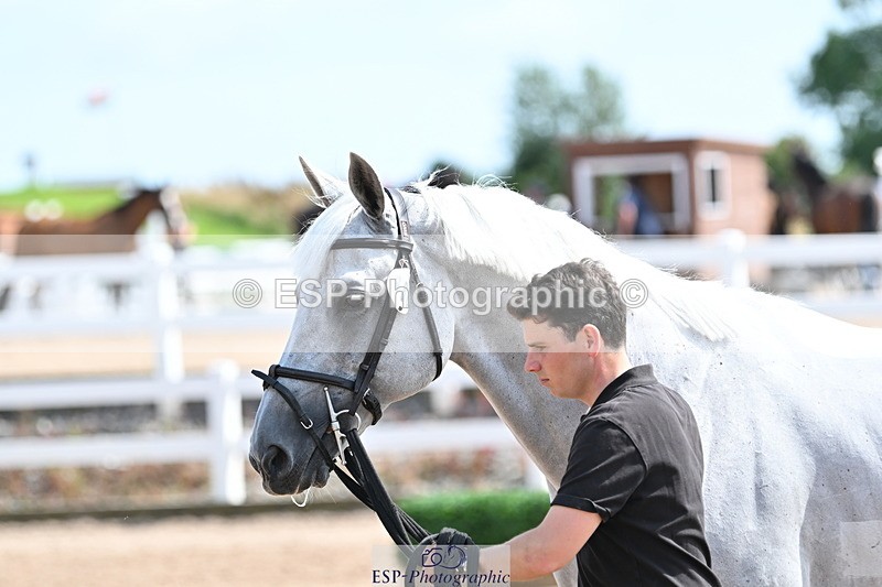 240717A-154006-02967 - Trot Up 3pm to 4pm