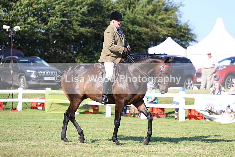 3E7A5282 - Class 2: Rising Star Large Hack/Riding Horse