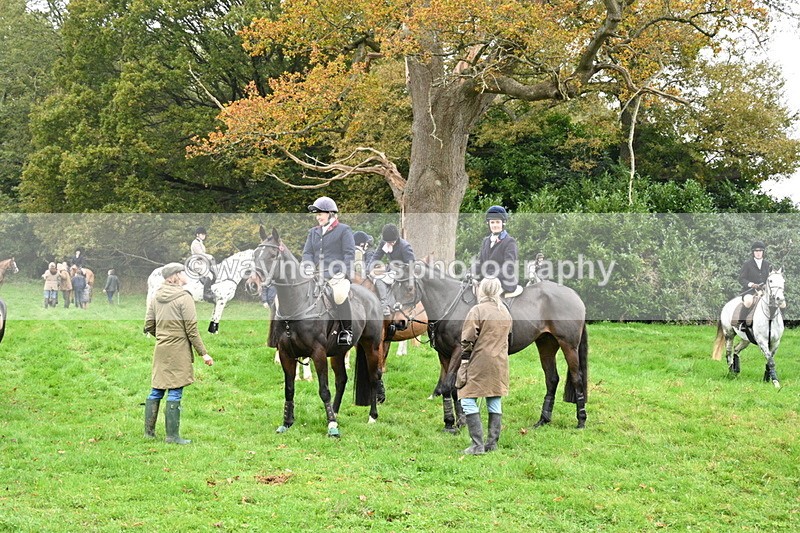 WJ7_7387 - The Meet