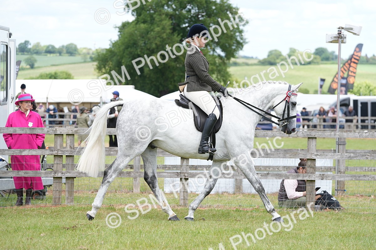 SBM_16150 - Class 105-106 - RIHS Riding Horses