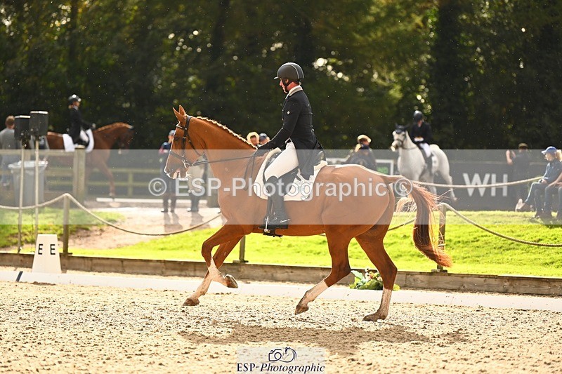 231021-153435-21157 - 362-GLOBAL.AMARETTO-Charlotte.Agnew-DR