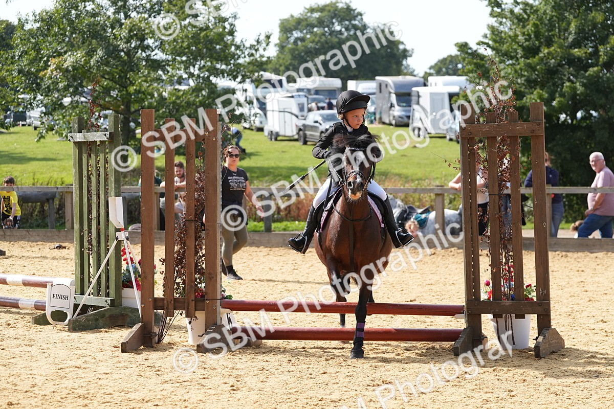 SBM_68428 - J3 - Mini Tour Junior Pony 40cm Championship