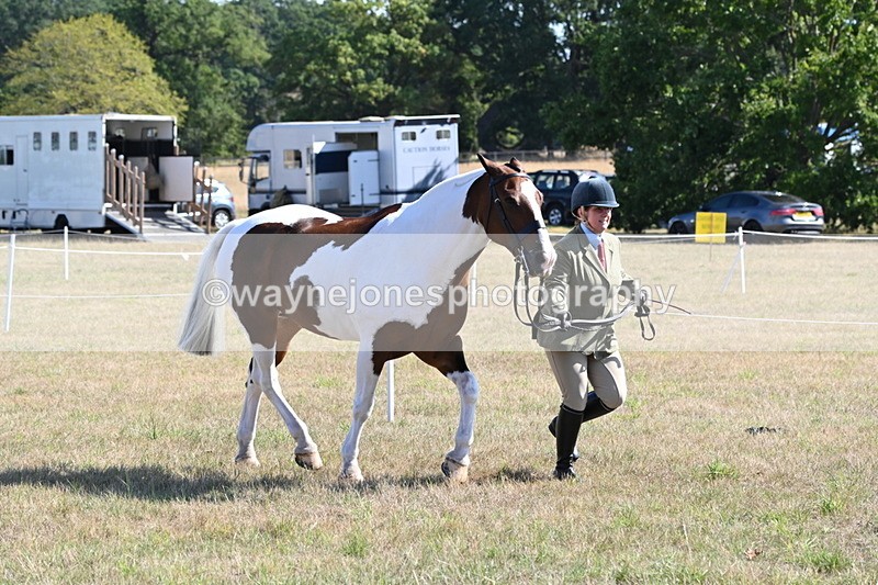 WJ6_4224 - Class 16 Condition & Turn Out