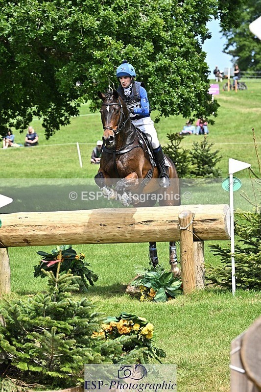 240525-140953-14729 - 162-HAZZLE_DAZZLE-Henry_Hobby