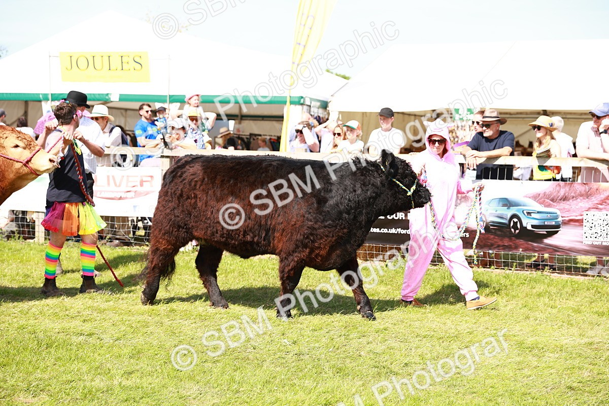 SBM_08343 - Grand Parade