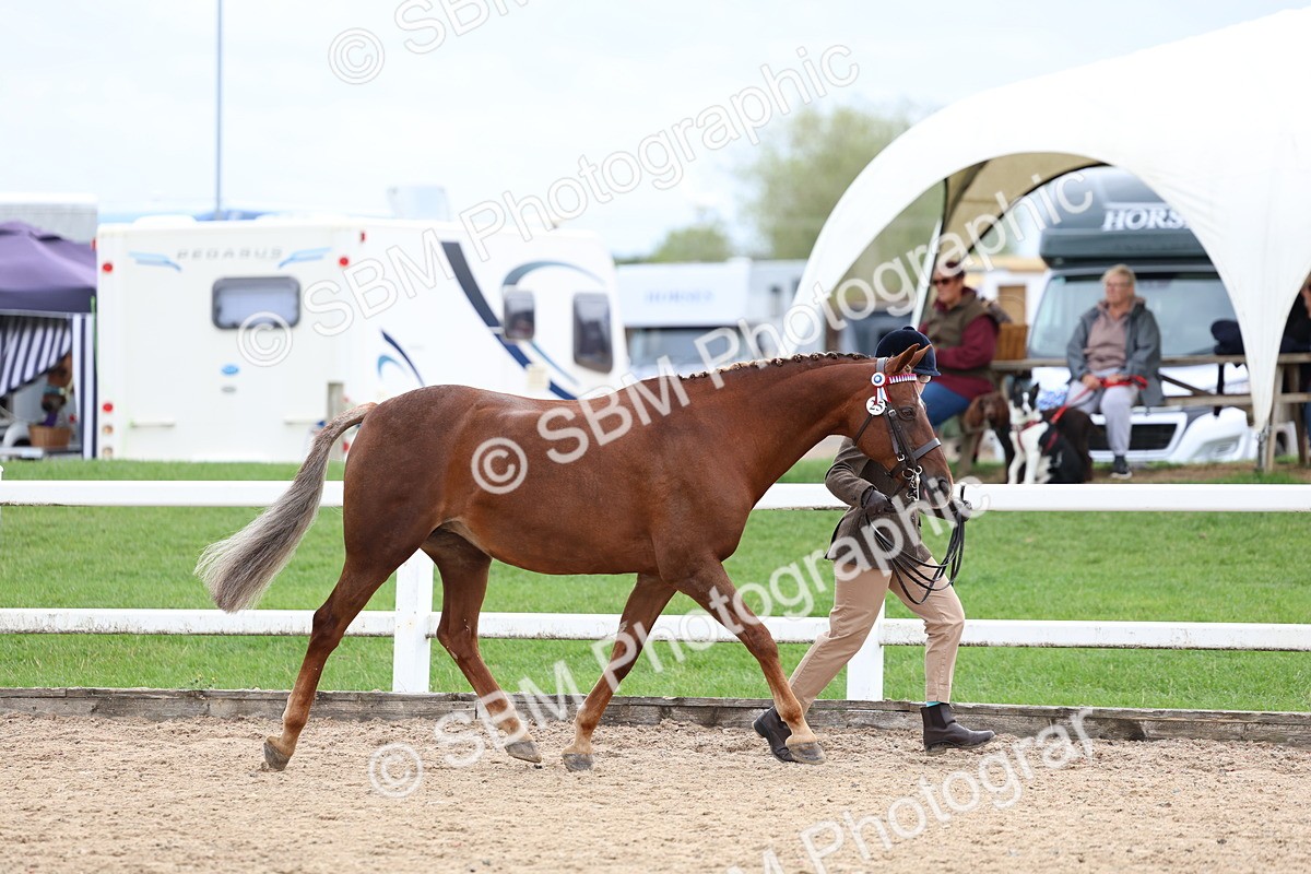 SBM_05839 - Class 29 - IH Veteran Pony