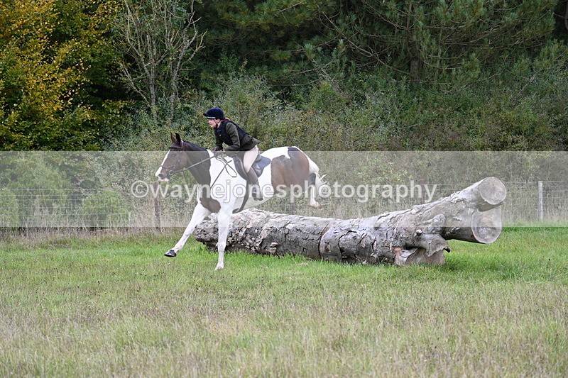 WJ7_3655 - Camera 1 Line 1